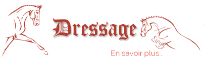 Dressage de chevaux Lagrasse Aude