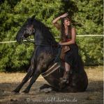 numéro de dressage assis
