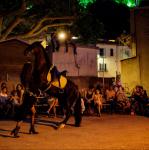 dressage nocturne 