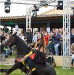 dressage prestations privée