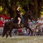 numéro de dressage