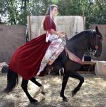 dressage renaissance 