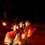 chevaux en costume de lumière