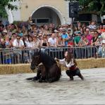 cheval couché