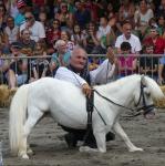 révérence cheval miniature