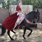 dressage haute école